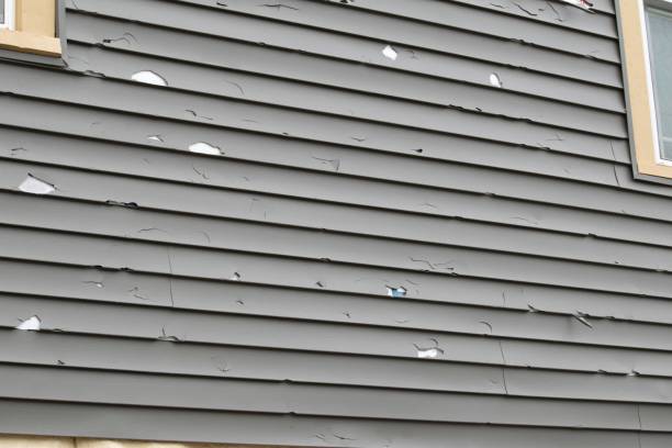 Historical Building Siding Restoration in Thurmont, MD